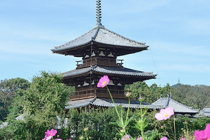 世界最古の木造建築